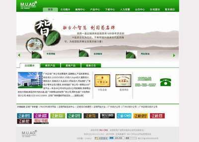 医疗品牌网站建设,广州品牌网站设计公司-正杨网络 创意设计 产品供应